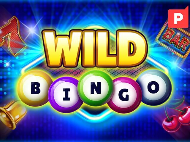 win44bet Bingo Selvagem